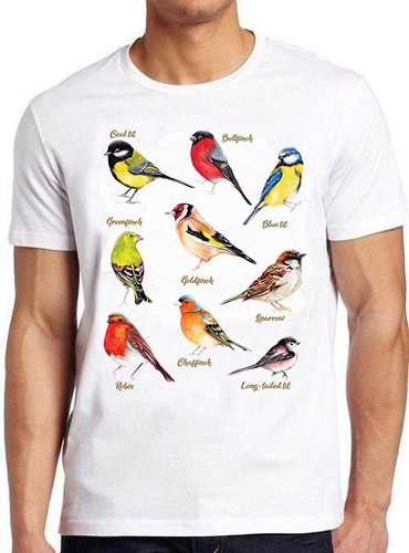 British garden birds - garden, meme